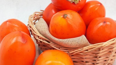 믿을 수 있는 당도! 🥭  내 최애 과일 선물, 당도보장 후기!